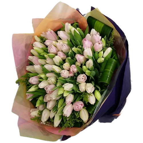50pcs Mixed Colored Holland Tulips Bouquet 