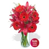 Gerbera and Asiatic Lily Bouquet