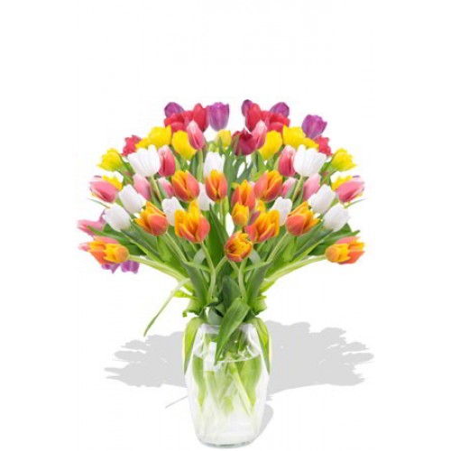 30pcs Large Mixed Color Tulips Bouquet