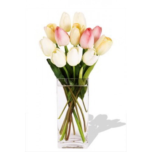 12 Mixed Holland Tulips Vase Bouquet