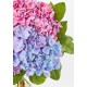 The Andrea Vase Bouquet - Three Hydrangea